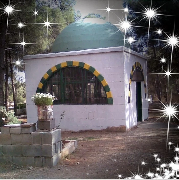 HAYAT MASAL MI YOKSA