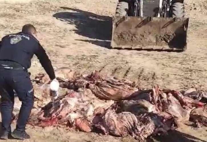 1 ton 150 kilo et imha edildi.