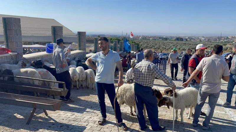 Hayvan Pazarı