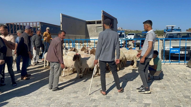 Kilis hayvan Pazarı