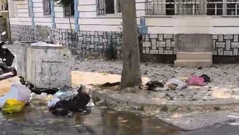 deriler çöpe gitti