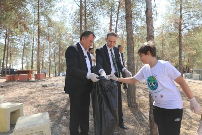 proje