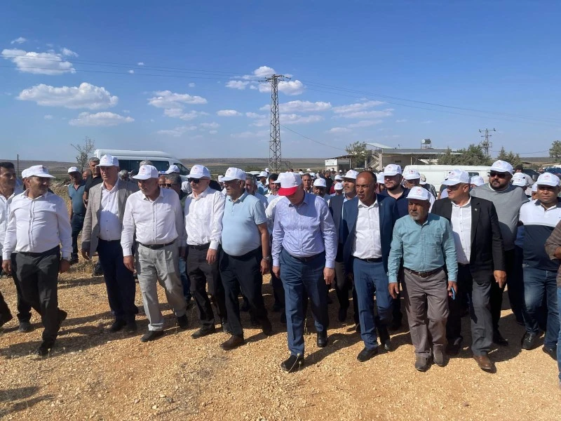 Kilis’te “Kuraklık ve Don, Tarımı Felç Etti!”, Kilis ziraat odası