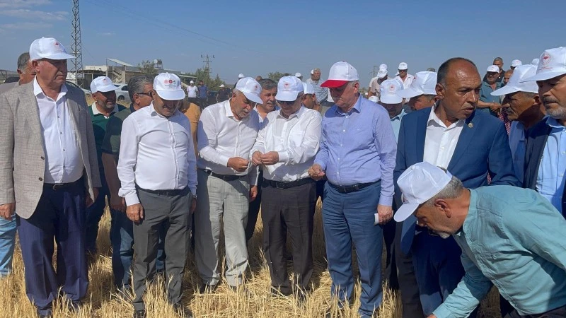 Kilis’te “Kuraklık ve Don, Tarımı Felç Etti!”, Kilis ziraat odası