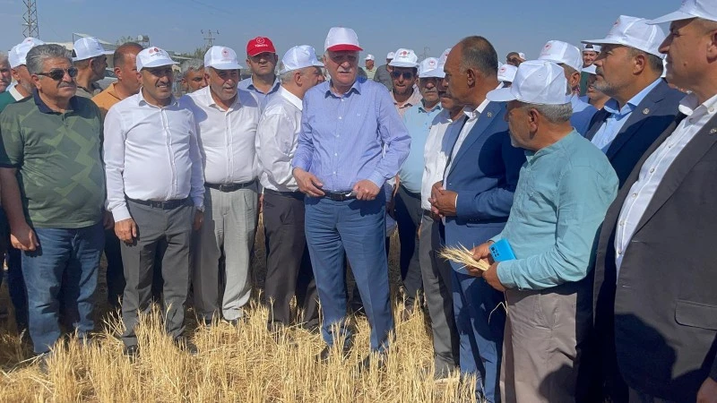 Kilis’te “Kuraklık ve Don, Tarımı Felç Etti!”, Kilis ziraat odası