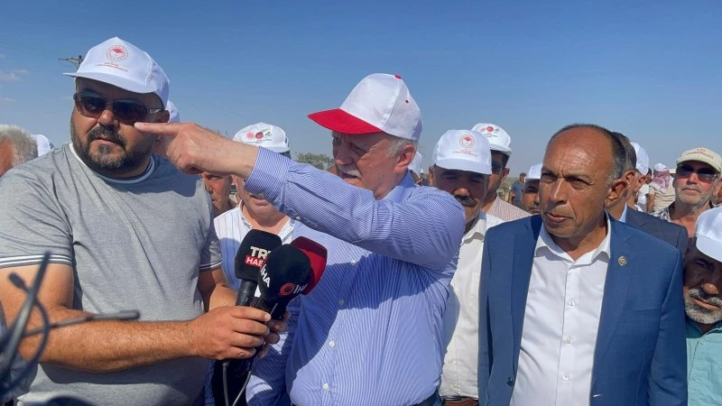Kilis’te “Kuraklık ve Don, Tarımı Felç Etti!”, Kilis ziraat odası