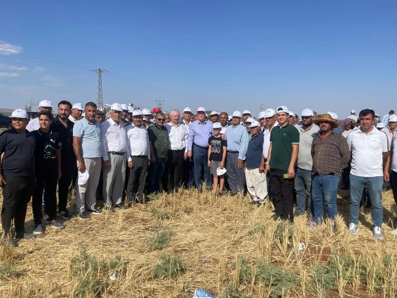 Kilis’te “Kuraklık ve Don, Tarımı Felç Etti!”, Kilis ziraat odası