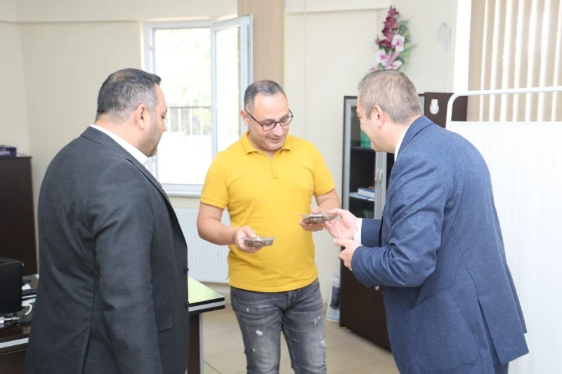 Kilis, kilis sokak hayvanları, kilis belediyesi 