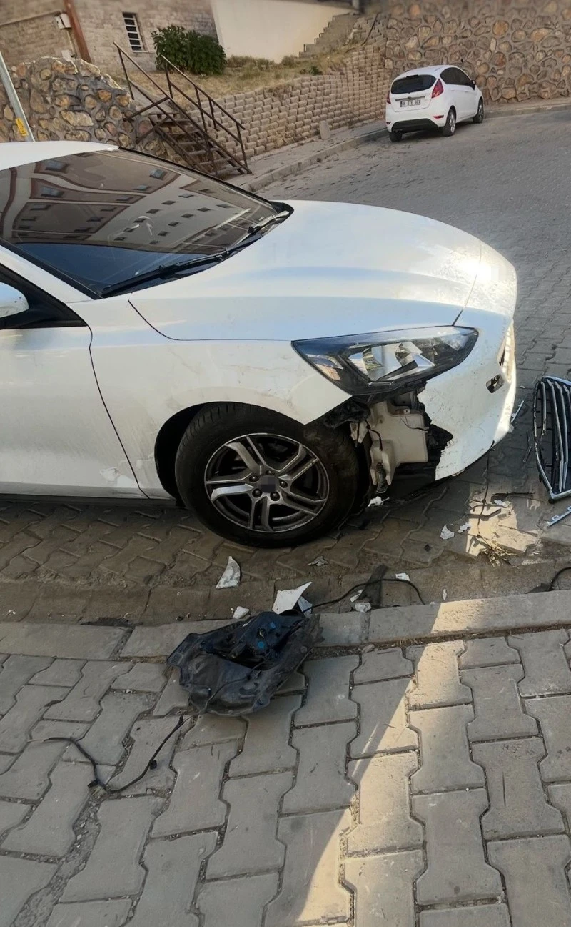 Başıboş köpekler park halindeki aracı parçaladı: 108 bin TL hasar, kilis kent haber, asayiş