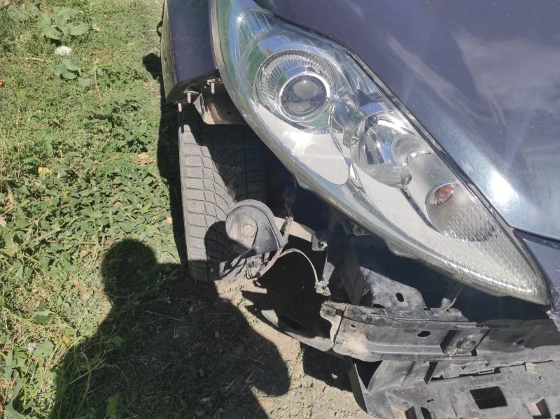 Başıboş köpekler park halindeki aracı parçaladı: 108 bin TL hasar, kilis kent haber, asayiş