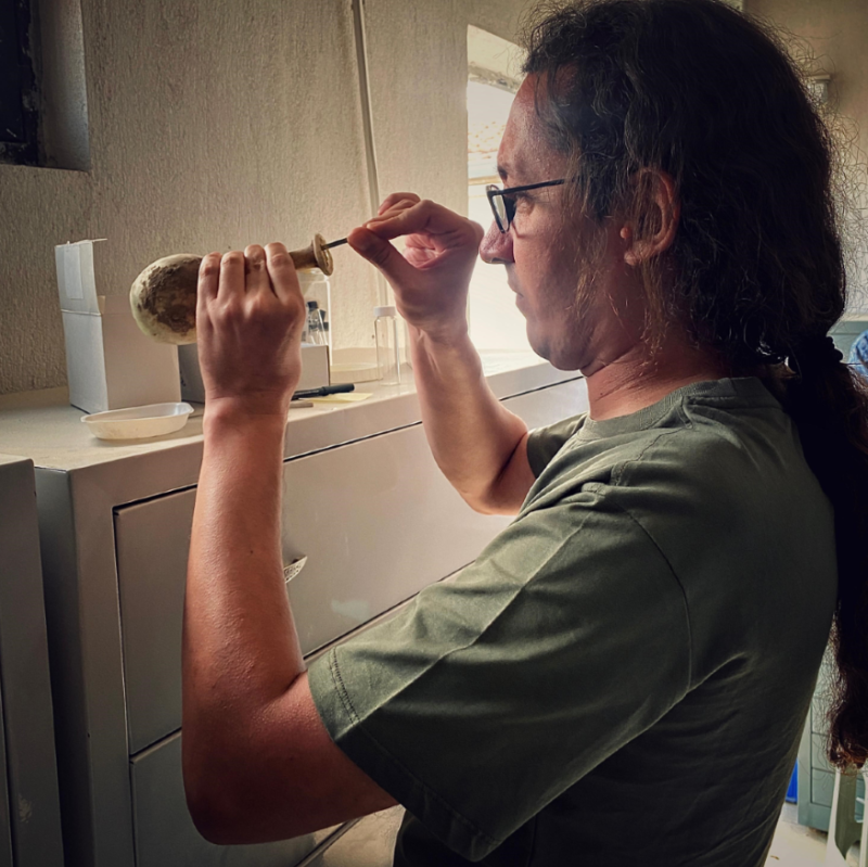 türk bilim insanları