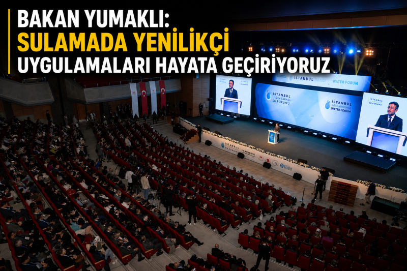 yenitarım