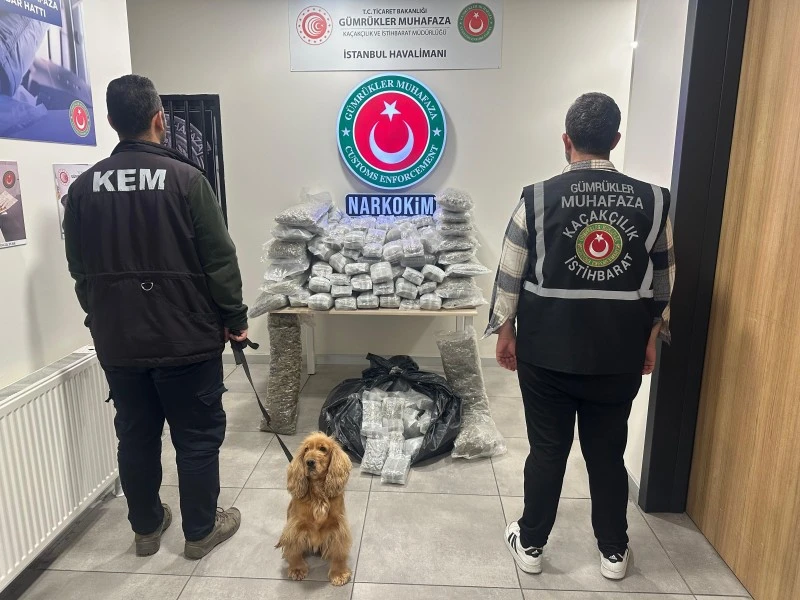 gümrük