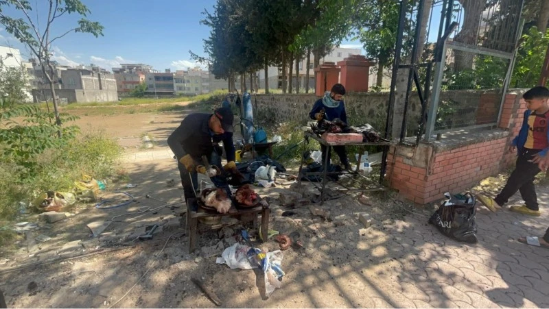 Kilis