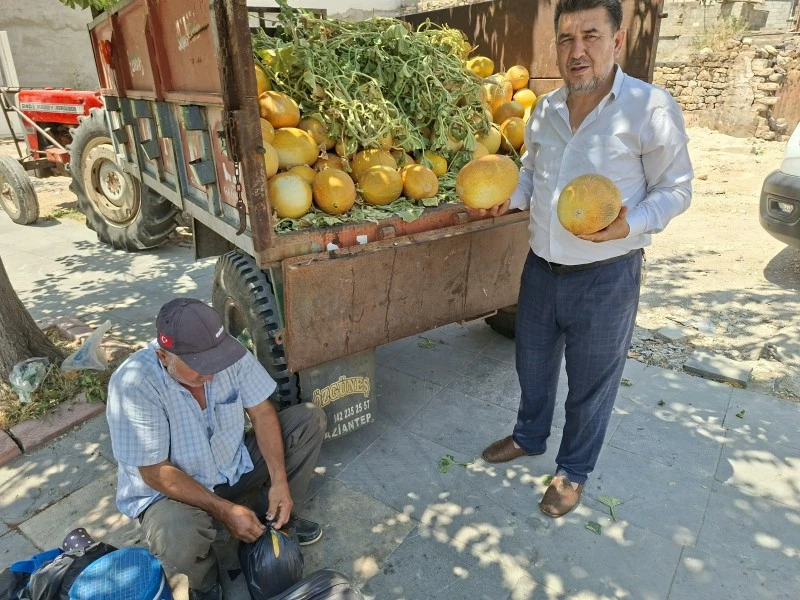 deşti kavun