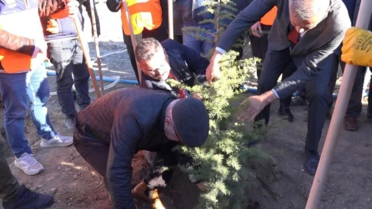 Ağaçlandırma seferberliği