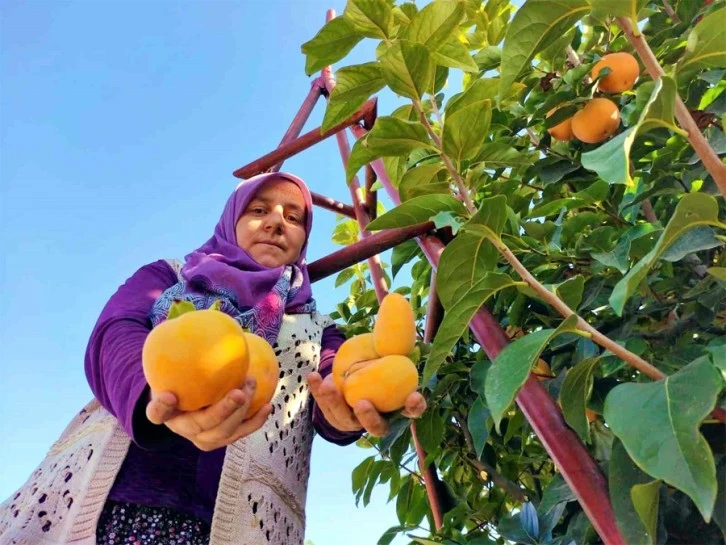 Mevsimlik tarım işçilerinin ortalama günlük ücretleri yüzde 114,6 arttı