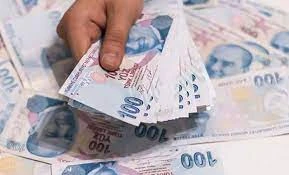 Bitkisel üretime destekleme ödemesi Resmi Gazete’de