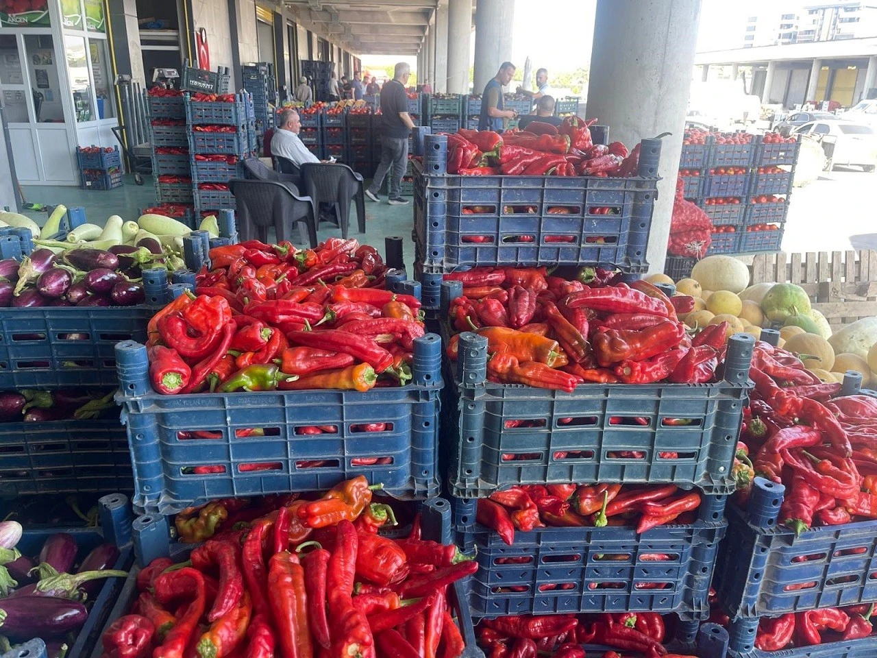  Kilis Sebze Hali&rsquo;nde Sal&ccedil;alık Biber Fiyatı Belli Oldu!