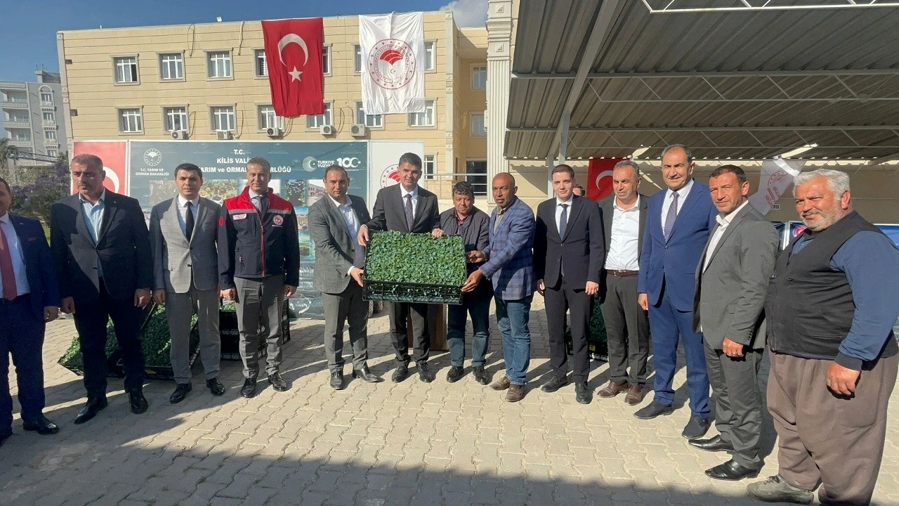 Kilis&rsquo;te 400 Bin Sebze Fidesi ve &Uuml;z&uuml;m Şalı &Ccedil;ift&ccedil;ilere Dağıtıldı