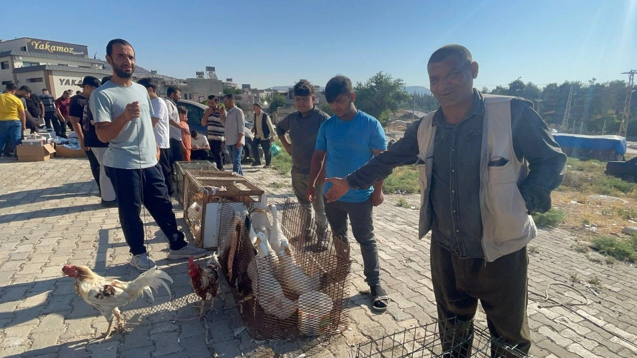  Kilis&rsquo;te K&ouml;y Tavuğu Fiyatları D&uuml;şt&uuml;