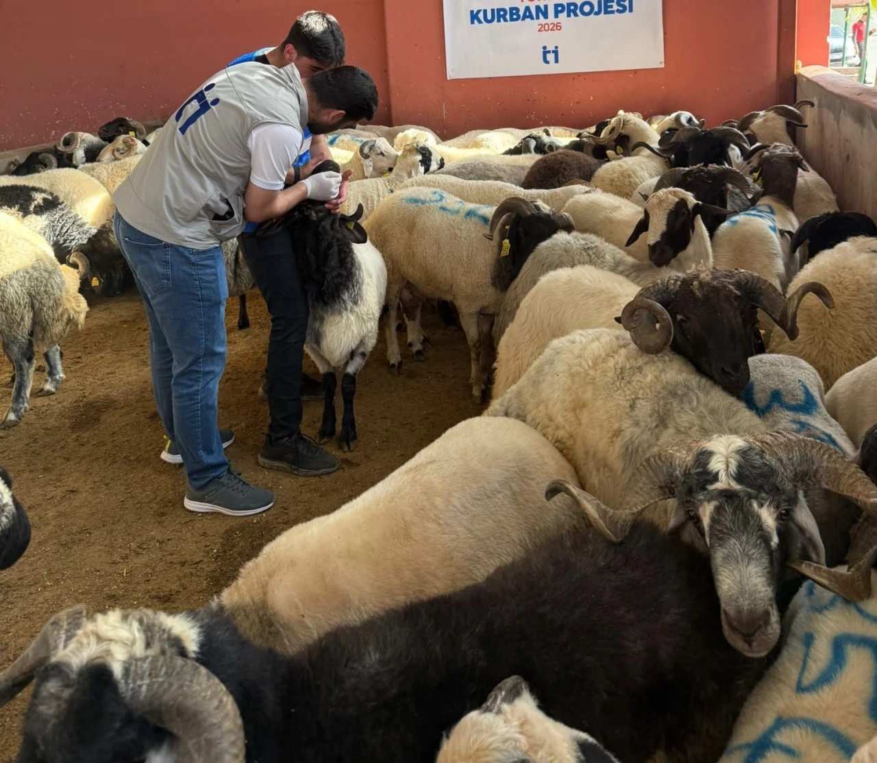 Kilis&rsquo;te K&uuml;&ccedil;&uuml;kbaş Destek Projesi Başvuru Sahiplerine Kritik Uyarı!