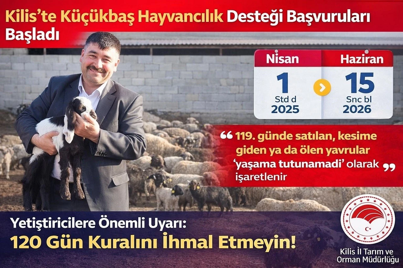 Kilis&rsquo;te K&uuml;&ccedil;&uuml;kbaş Hayvancılık Desteği Başvuruları Başladı
