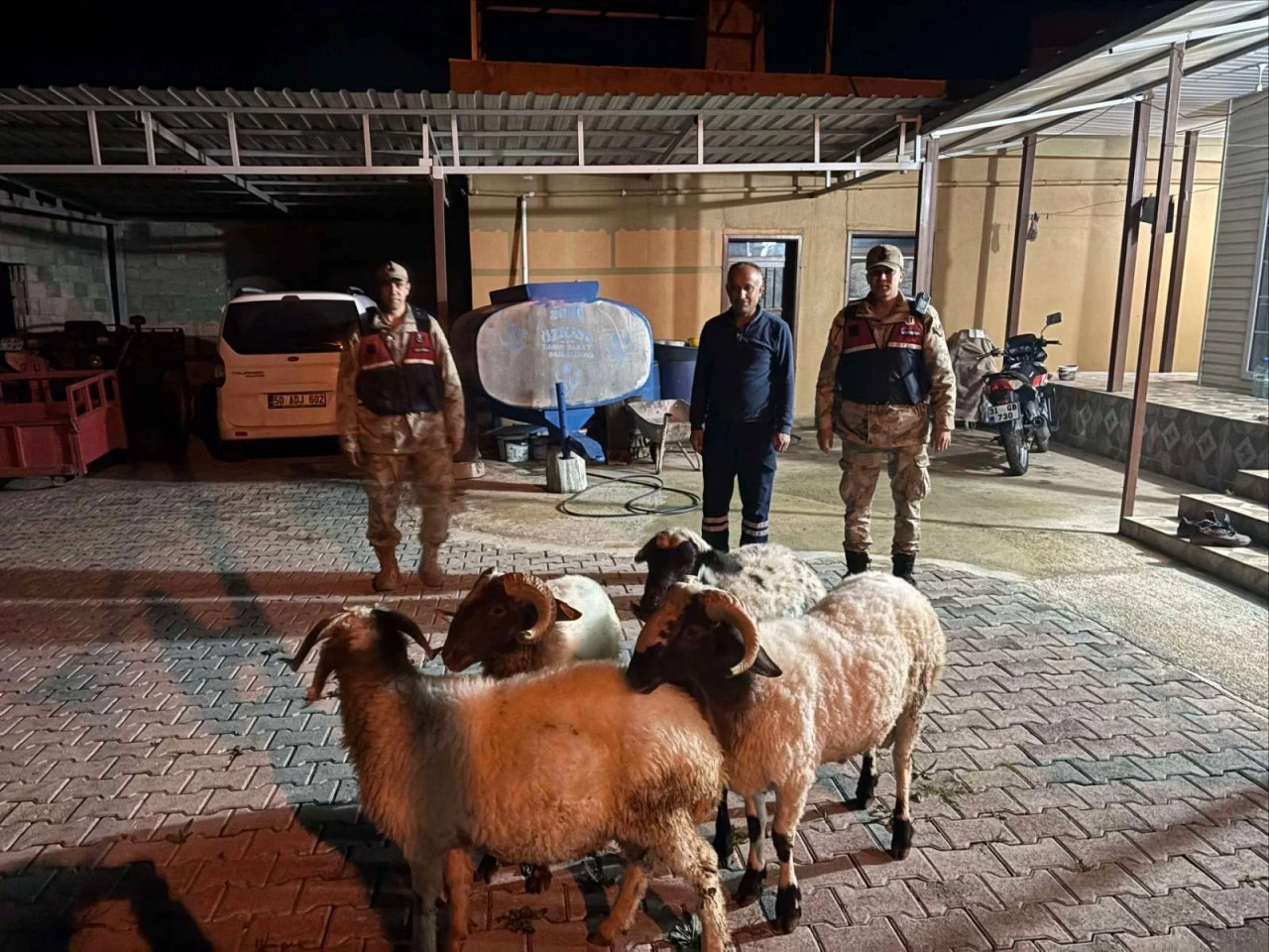 Kilis&rsquo;te Kurbanlık Hayvanlar Bulundu