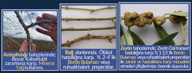 Kilis’te tarımda hastalık ve zararlılara karşı kış mücadelesi