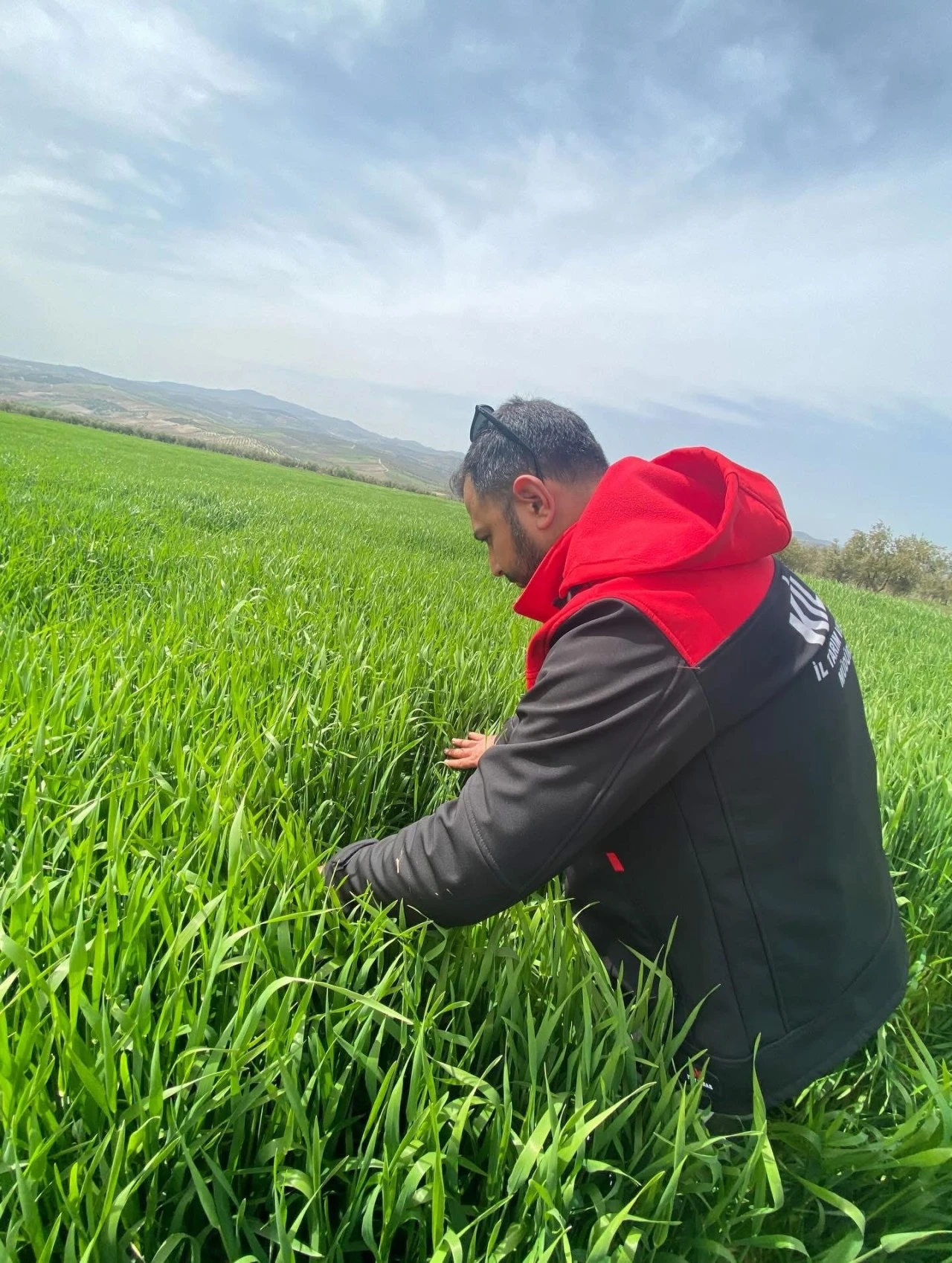 Musabeyli&rsquo;nde S&uuml;ne Alarmı