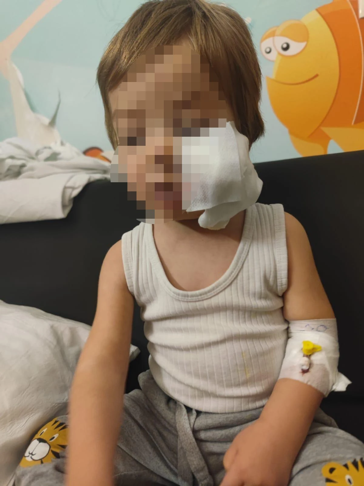 Pitbull saldırısına uğrayan Efe taburcu edildi