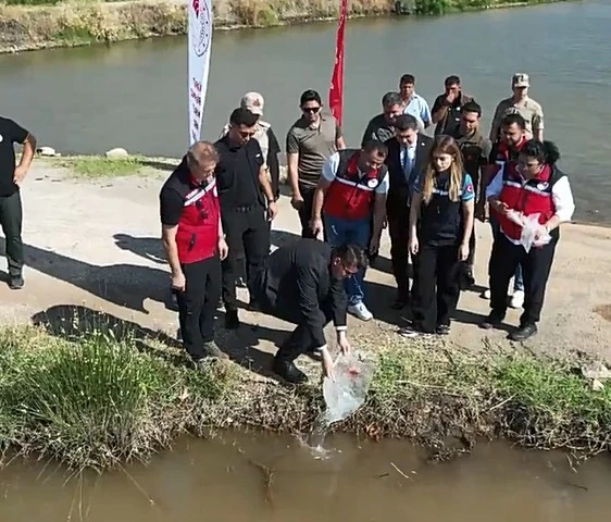 Sapkanlı G&ouml;leti'ne Binlerce Yavru Balık Bırakıldı: 50 Bin Balık Daha Bırakılacak