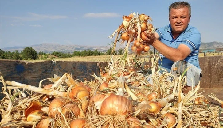 Nisan ayında markette fiyatı en fazla artan ürün kuru soğan oldu