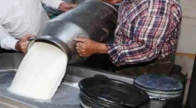 Ticari süt işletmelerince Ocak ayında 915 bin 522 ton inek sütü toplandı