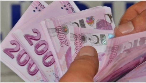 Vatandaşlık Maaşı Haziranda Başlıyor