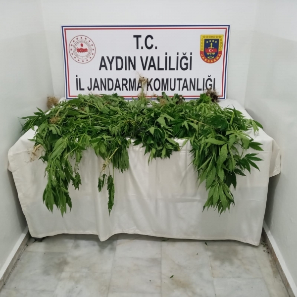 1 haftada 222 gram uyuşturucu ele geçirildi