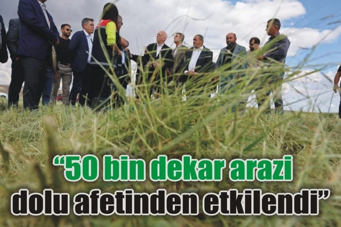“50 bin dekar arazi dolu afetinden etkilendi”