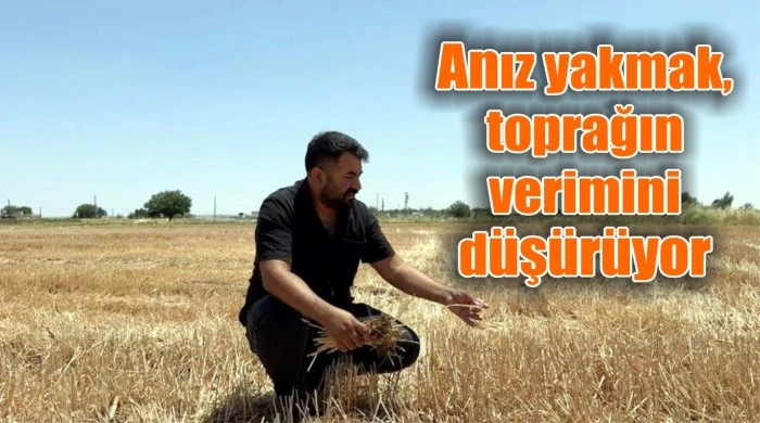 Anız yakmak, toprağın verimini düşürüyor