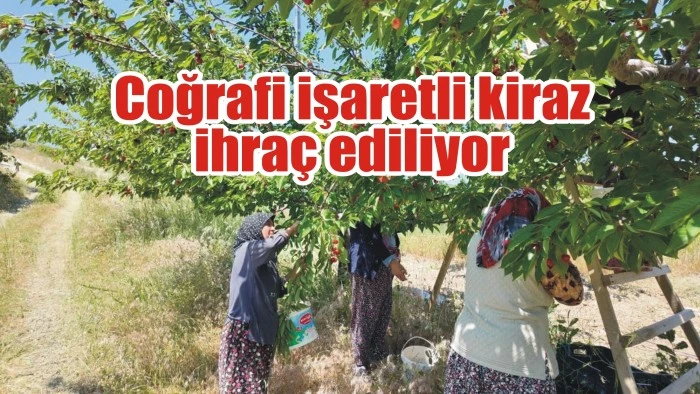 Coğrafi işaretli kiraz ihraç ediliyor