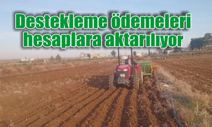 Destekleme ödemeleri hesaplara aktarılıyor