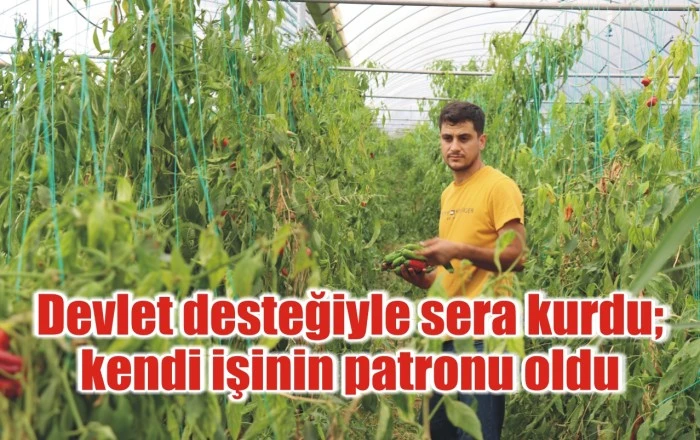 Devlet desteğiyle sera kurdu; kendi işinin patronu oldu