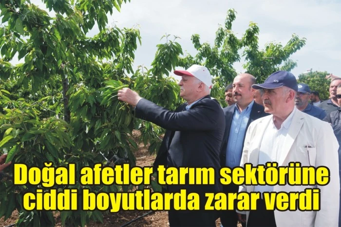 Doğal afetler tarım sektörüne ciddi boyutlarda zarar verdi