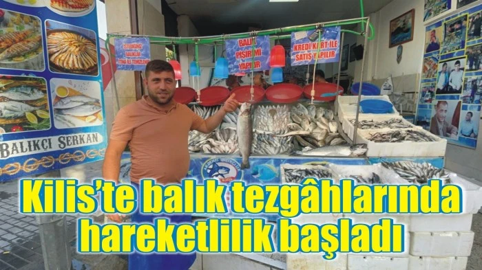 Kilis’te balık tezgâhlarında hareketlilik başladı