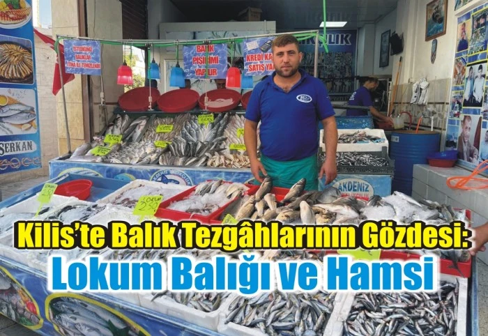 Kilis’te Balık Tezgâhlarının Gözdesi: Lokum Balığı ve Hamsi