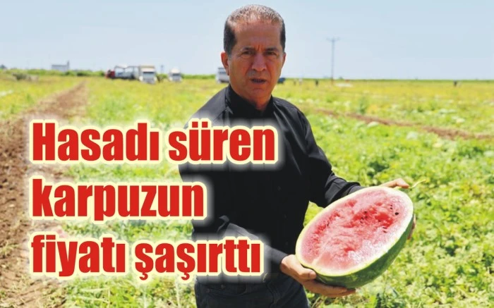 Hasadı süren karpuzun fiyatı şaşırttı