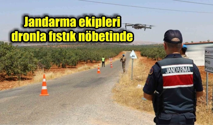 Jandarma ekipleri dronla fıstık nöbetinde