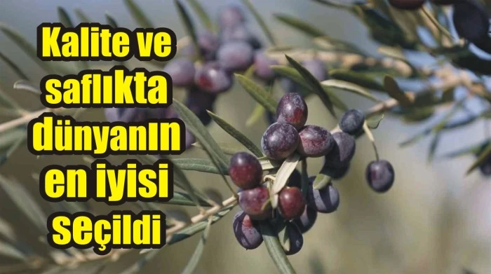 Kalite ve saflıkta dünyanın en iyisi seçildi