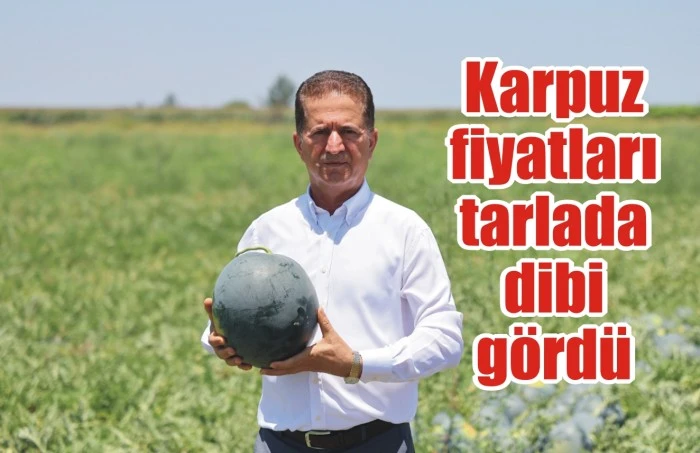Karpuz fiyatları tarlada dibi gördü