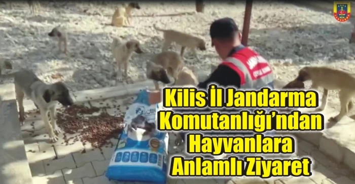 Kilis İl Jandarma Komutanlığından Hayvanlara Anlamlı Ziyaret