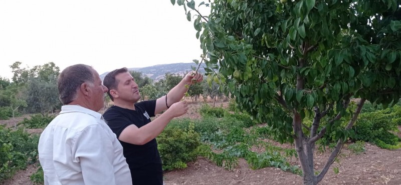 KİLİS TARIMINI GELİŞTİRMEK İÇİN CANSİPERANE ÇALIŞIYOR